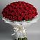 Букет 101 Красная роза Блэк Мэджик в Ивне