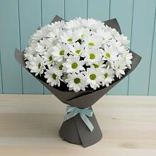 Букет цветов из:  Хризантемы #REPLACE_PRED# Ивне