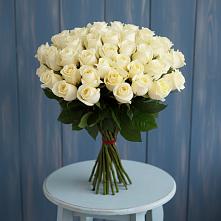 Букет 51 Белая роза Эдлесс Лав #REPLACE_PRED# Ивне