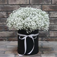 Цветочная композиция из Гипсофила в шляпной коробке в Ивне